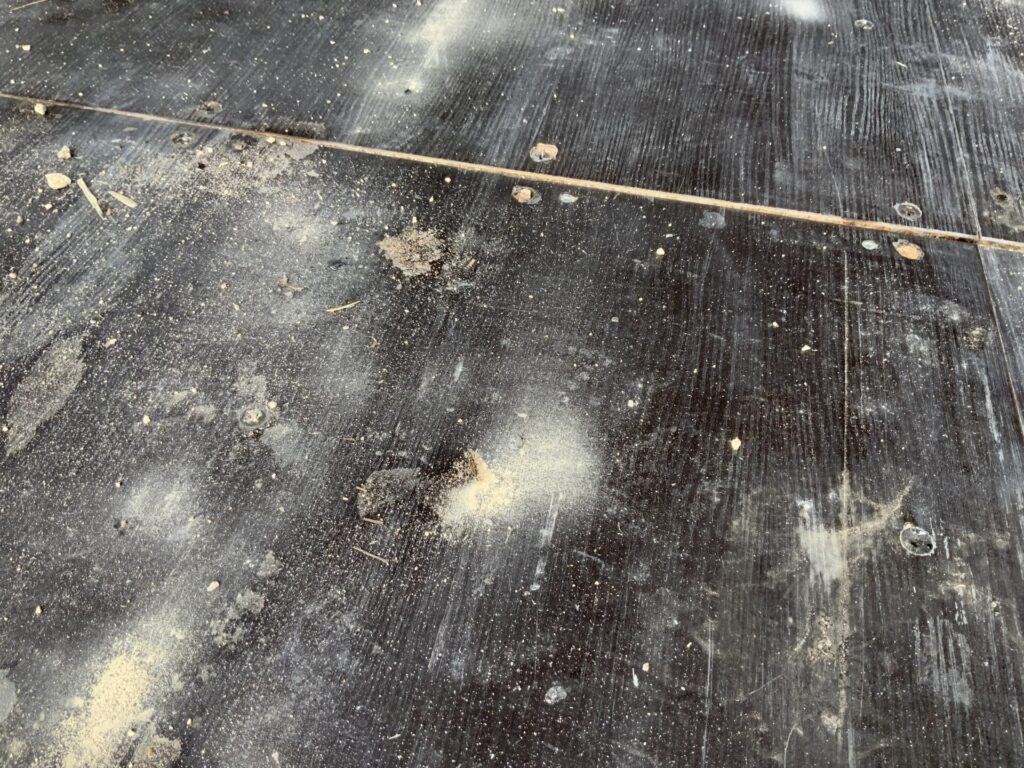 Cosmetic floor surface damage inside a 20ft one-trip bottle green ISO shipping container showing honest condition of marine plywood floor.